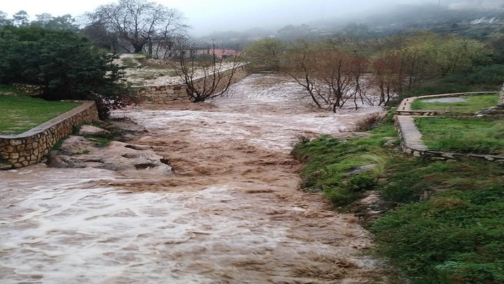 النشرة: دخول مياه الأمطار إلى المنازل في تول والنبطية وزفتا