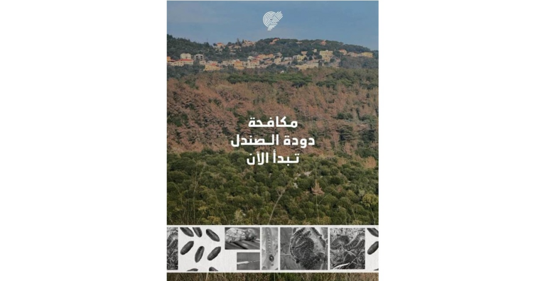 جمعية "الأرض" حذرت من تفاقم دودة الصندل في غابات الصنوبر: للمكافحة البيولوجية العاجلة