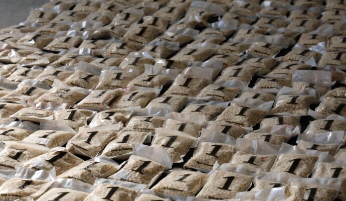 الداخلية السورية: إحباط تهريب 300 ألف حبة كبتاغون في حمص واعتقال مطلوبَين دوليَين