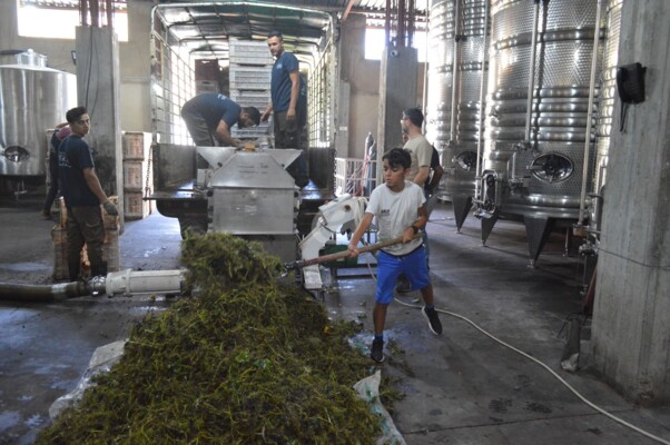 جولة إعلامية فنية في شاتو سان توماس دعما لإنتاج النبيذ اللبناني