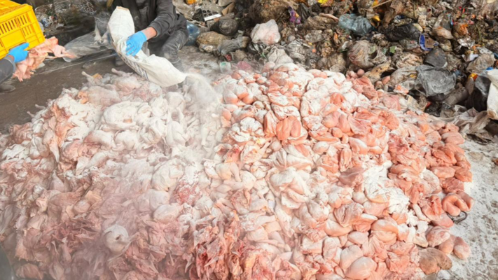 قوى الأمن: ضبط 3 أطنان دجاج غير مطابق داخل مستودعين في سعدنايل وإقفالهما وتوقيف 10 أشخاص