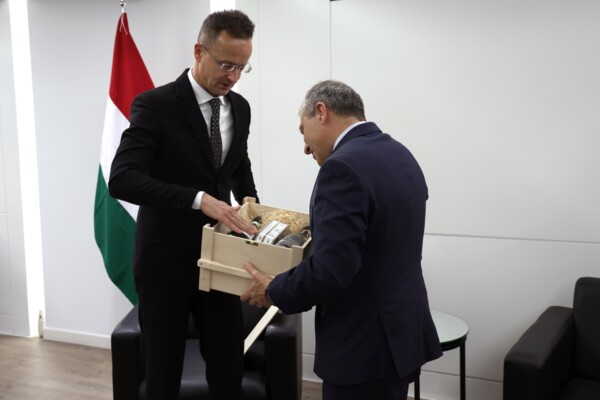 باسيل استقبل وزير خارجية هنغاريا