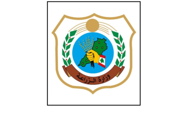 وزارة الزراعة اكدت تسجيل إصابات بالحمّى القلاعية وشكلت لجنة طوارئ واتخذت إجراءات لاحتواء انتشار المرض في لبنان