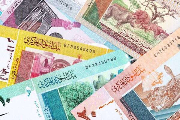 حكومة السودان قررت استبدال العملة الوطنية وتعزيز حماية الإقتصاد