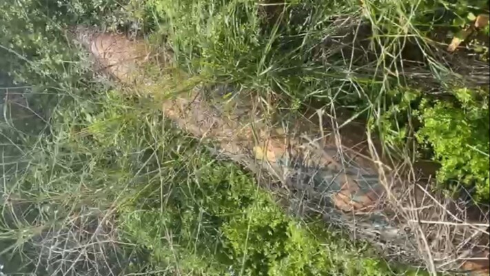 العثور على صاروخ غير منفجر من مخلفات الحرب في بلدة بيوت السياد جنوب صور