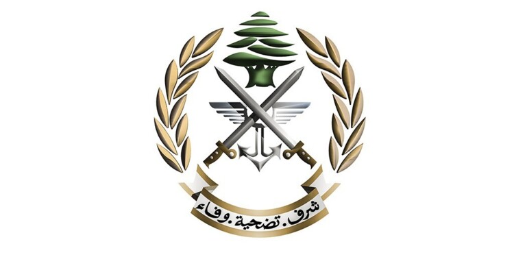 الجيش: سنفجر ذخائر غير منفجرة في بلدة دير عامص - صور