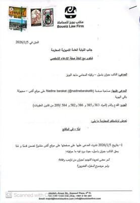 المحامي البويز: شكويان جزائيتان من باسيل بحق ندين بركات لاتهامه بالسرقة وتبييض الأموال