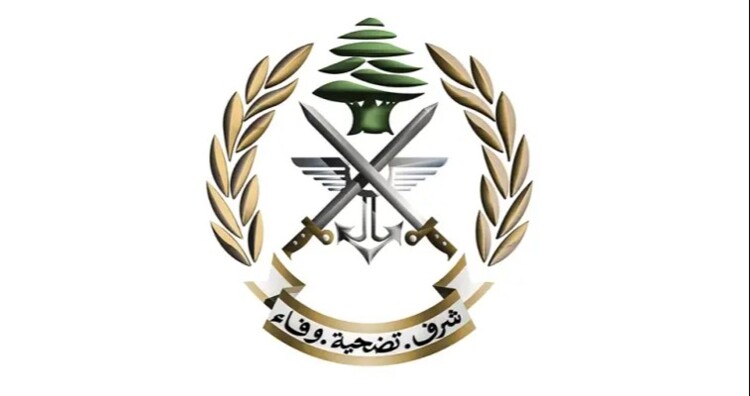 الجيش: تفجير ذخائر غير منفجرة في بلدتَي شويا ورامية