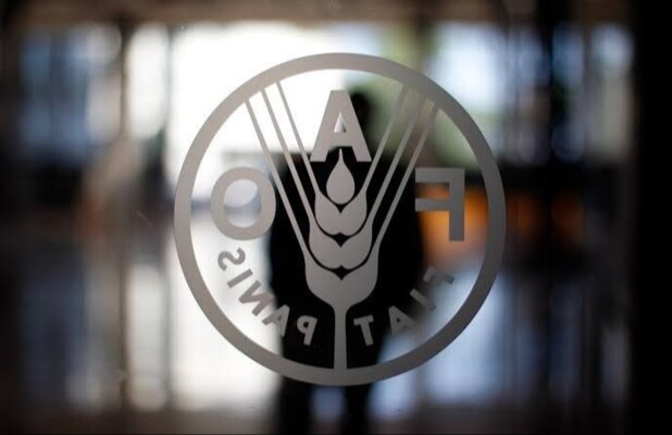"الفاو": ما بين 55 و65% من السكان في أقضية جنوب لبنان سيواجهون انعدام الأمن الغذائي بمستوى الأزمة أو أسوأ