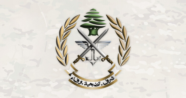 الجيش: سنفجر ذخائر غير منفجرة في حقل القليعة- مرجعيون