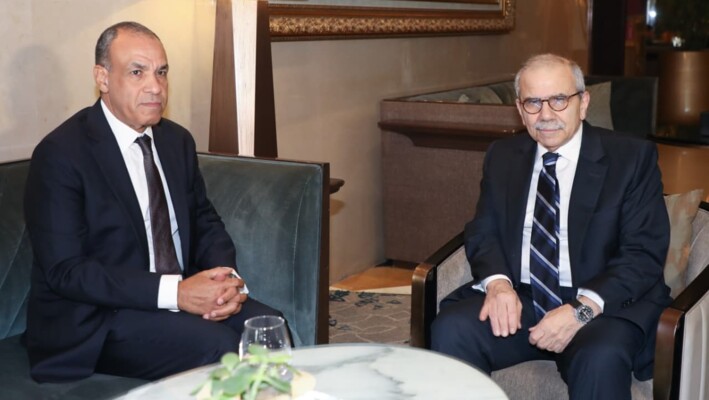 عبد العاطي أكد لسلام تضامن مصر مع لبنان: لضرورة انسحاب إسرائيل الكامل من أراضيه