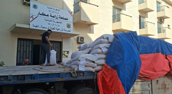 وزارة الزراعة باشرت توزيع 30 طنًا من بذور القمح المحسّنة على 600 مزارع بمختلف المناطق