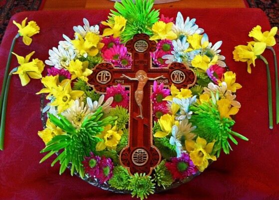 بهذه العلامة ننتصر