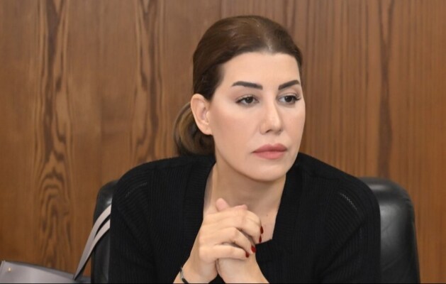 يعقوبيان: على النواب اتخاذ قرار بشأن قانون حياد لبنان