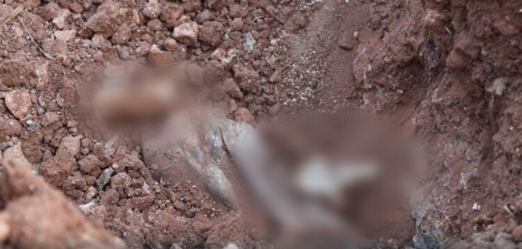 الداخلية السورية: العثور على 4 مقابر جماعية في شارع الستين شمال حمص تضم رفات عشرات الأشخاص