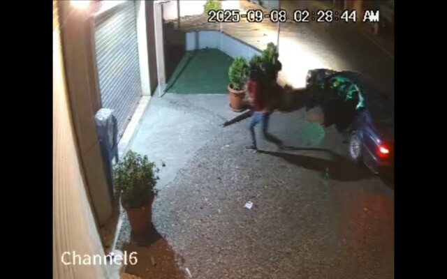 "النشرة": شخص قام بسرقة صندوق الصدقات في دورس بعلبك