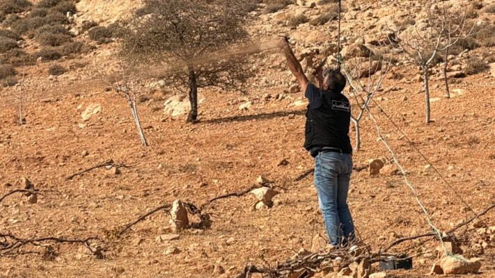 قوى الأمن: توقيف ثلاثة أشخاص يقومون بممارسة الصّيد ليلاً في قبّ الياس وضبط معدات وشباك صيد مخالِفة بالبقاع