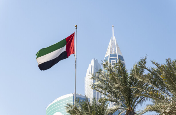الخارجية الإماراتية: ندعو اليمنيين إلى تغليب الحكمة ووقف التصعيد وحل الخلافات بالحوار