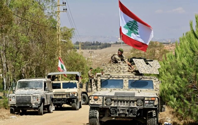 صورة الخبر