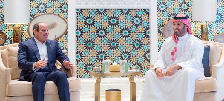 السيسي وبن سلمان أكدا هاتفيًا ضرورة خفض التصعيد حفاظًا على السلم والاستقرار بالمنطقة