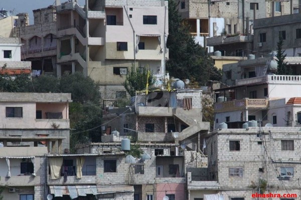  لا قيمة لتنظيم السلاح  والوجود الفلسطيني في لبنان من دون الحقوق الانسانية