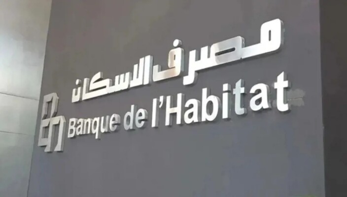 صورة الخبر