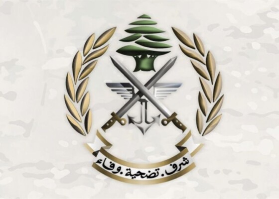 "النشرة": الجيش دهم منازل مطلوبين في بلدة بريتال على خلفية سرقة سيارة من مدينة صيدا