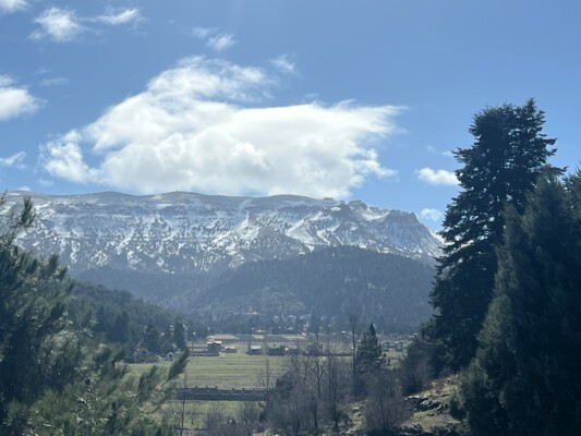 لبنان والهيكل