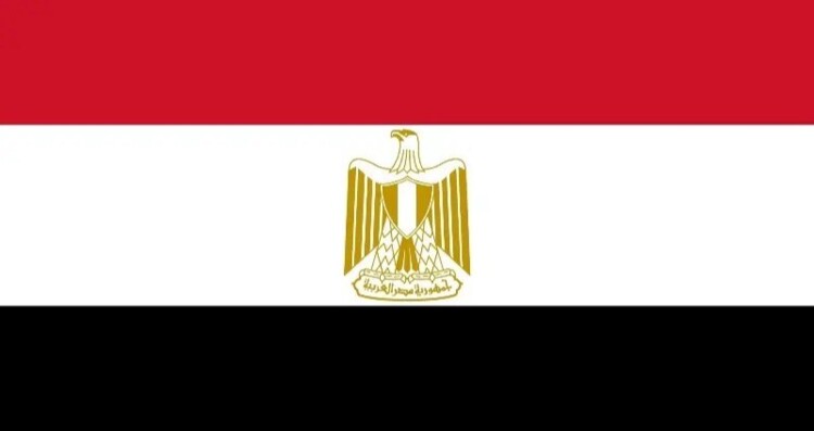 الصحة المصرية: مقتل 16 شخصا وإصابة 28 في حادث انقلاب حافلة ركاب بمحافظة جنوب سيناء