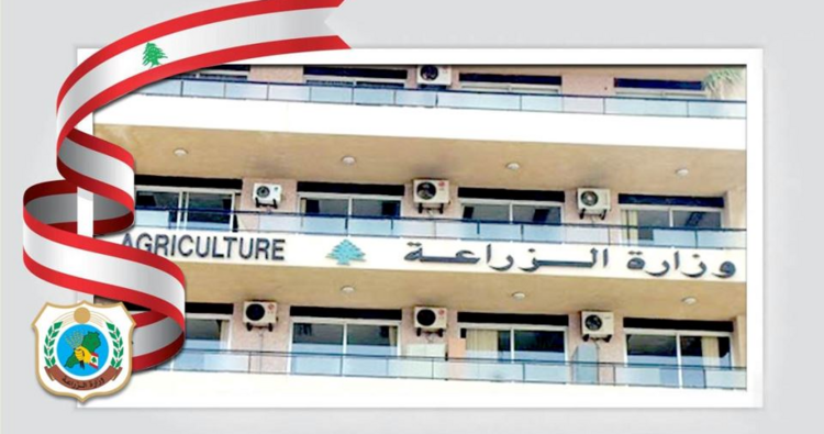وزارة الزراعة في تقرير حول تداعيات الاعتداءات على الزراعة في لبنان: تصاعد الأضرار وتوسّع الاستجابة لحماية الأمن الغذائي
