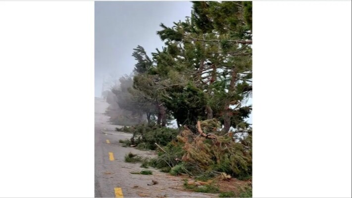 بلدية زغرتا - إهدن أسفت لرمي النفايات قرب دارة ونصب يوسف بك كرم وأعلنت بدء اعمال تشحيل الاشجار