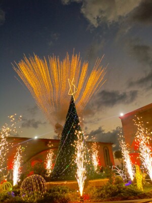 إضاءة شجرة الميلاد في الشويفات بأجواء احتفالية جامعة