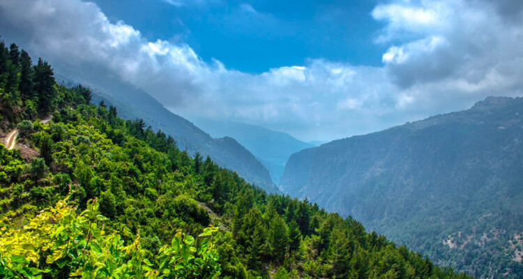 لبنان الشجاعة