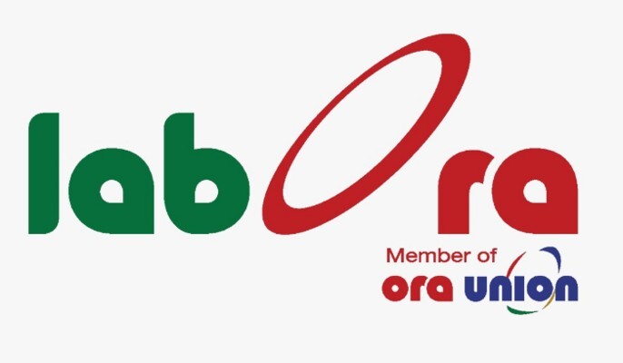 "لابورا" تؤمّن فرص عمل مؤقتة للنازحين من القرى المسيحية لتعزيز العيش الكريم والحد من الاعتماد على المساعدات