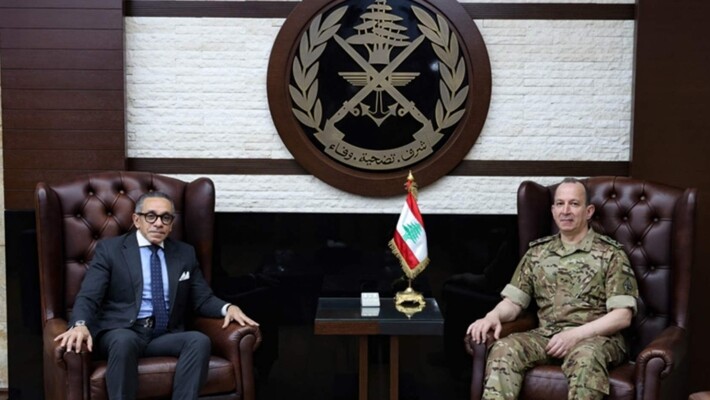 السفير المصري أكد للعماد هيكل دعم بلاده للجيش اللبناني