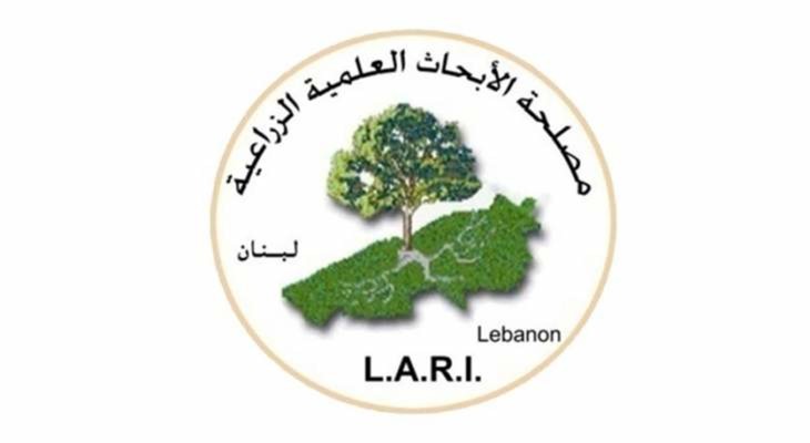 مصلحة الأبحاث الزراعية نشرت عدداً من الإجراءات للتقيّد بها في حال تهدم الإهراءات