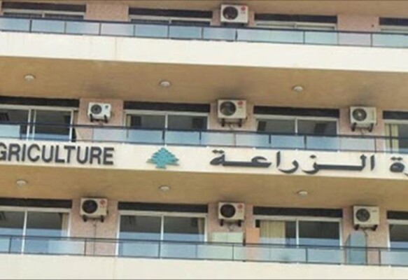 وزارة الزراعة فتحت باب اعتماد شركات الرقابة على المنتجات الزراعية المعدّة للتصدير