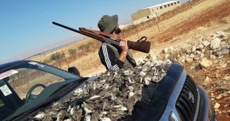 وزارات البيئة والداخلية والزراعة: الصيد البري ممنوع على الأراضي اللبنانية حتى إشعار آخر