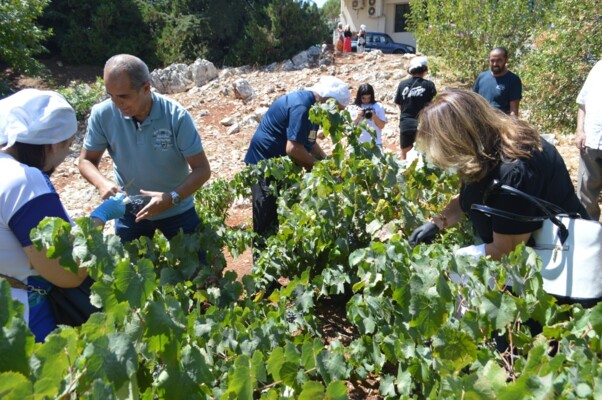 جولة إعلامية فنية في شاتو سان توماس دعما لإنتاج النبيذ اللبناني