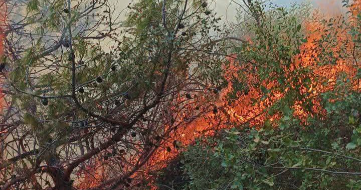 حريق كبير في خراج دبعل وبيت حاويك في أعالي جرود الضنية والأهالي يناشدون إخماده
