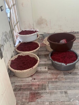 الريجي: ضبط كميات من المعسل المزور المصنع يدويا خلال مداهمة في الجاموس