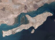 وكالة 