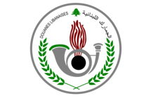 الجمارك: ضبط أكثر من طن من الألبسة والأحذية الأجنبية المقلدة والمهربة في صيدا