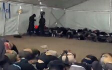 حماس: مشاهد التنكيل والإذلال التي تعرض لها ناشطو 
