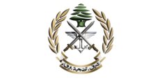الجيش: سنفجر ذخائر غير منفجرة في بلدة دير عامص - صور