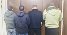 قوى الأمن: ضبط أبقار وعجول مهرّبة من سوريا في المنية والشويفات وتوقيف متورطين