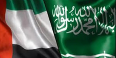 صحيفة الرياض: من يراهن على زعزعة العلاقة بين السعودية والإمارات يراهن على الوهم