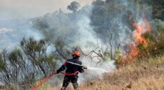 وفاة 12 شخصا وإصابة آخرين في حرائق غابات في الجزائر