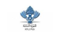 المالية: خدمة إلكترونية للاطلاع على الضرائب والرسوم وتسديدها عبر النظام الضريبي الإلكتروني