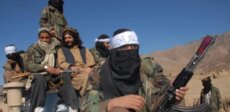الجيش الباكستاني: مقتل 20 جنديا أفغانيا على الحدود الجنوبية